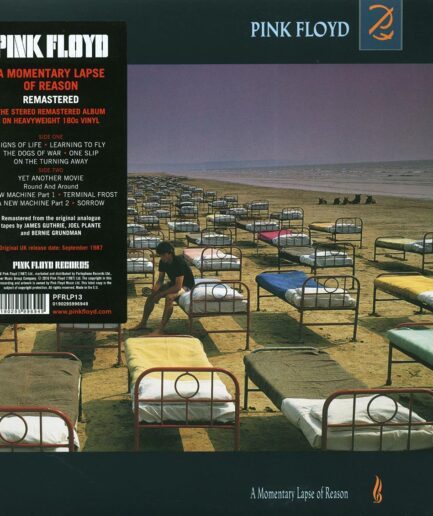 Pink Floyd - A Momentary Lapse Of Reason (180g)