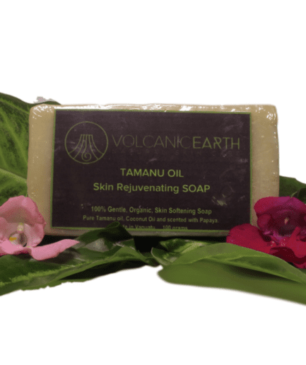 Volcanic Earth Tamanu Oil Soap (Large)
