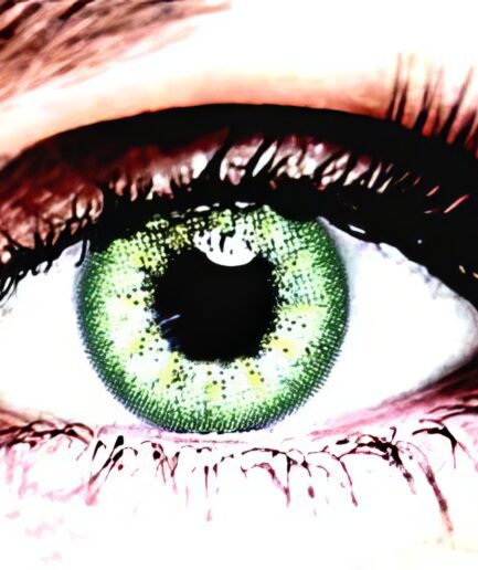 Bella Green Envy Colored Contacts